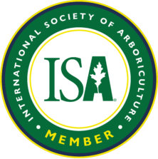 ISA Logo