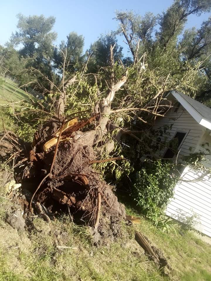 Storm Damage